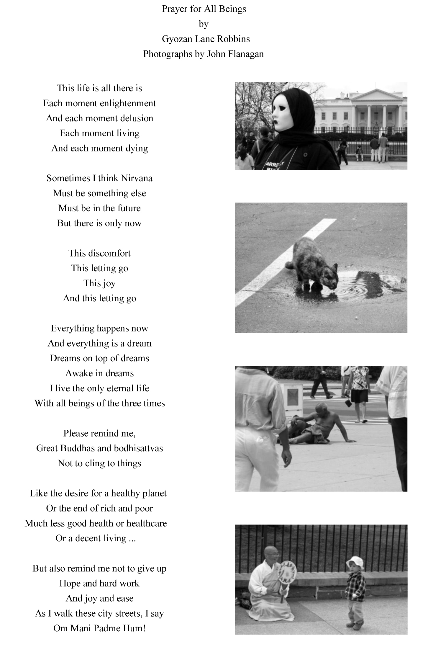 All Beings Web Page final