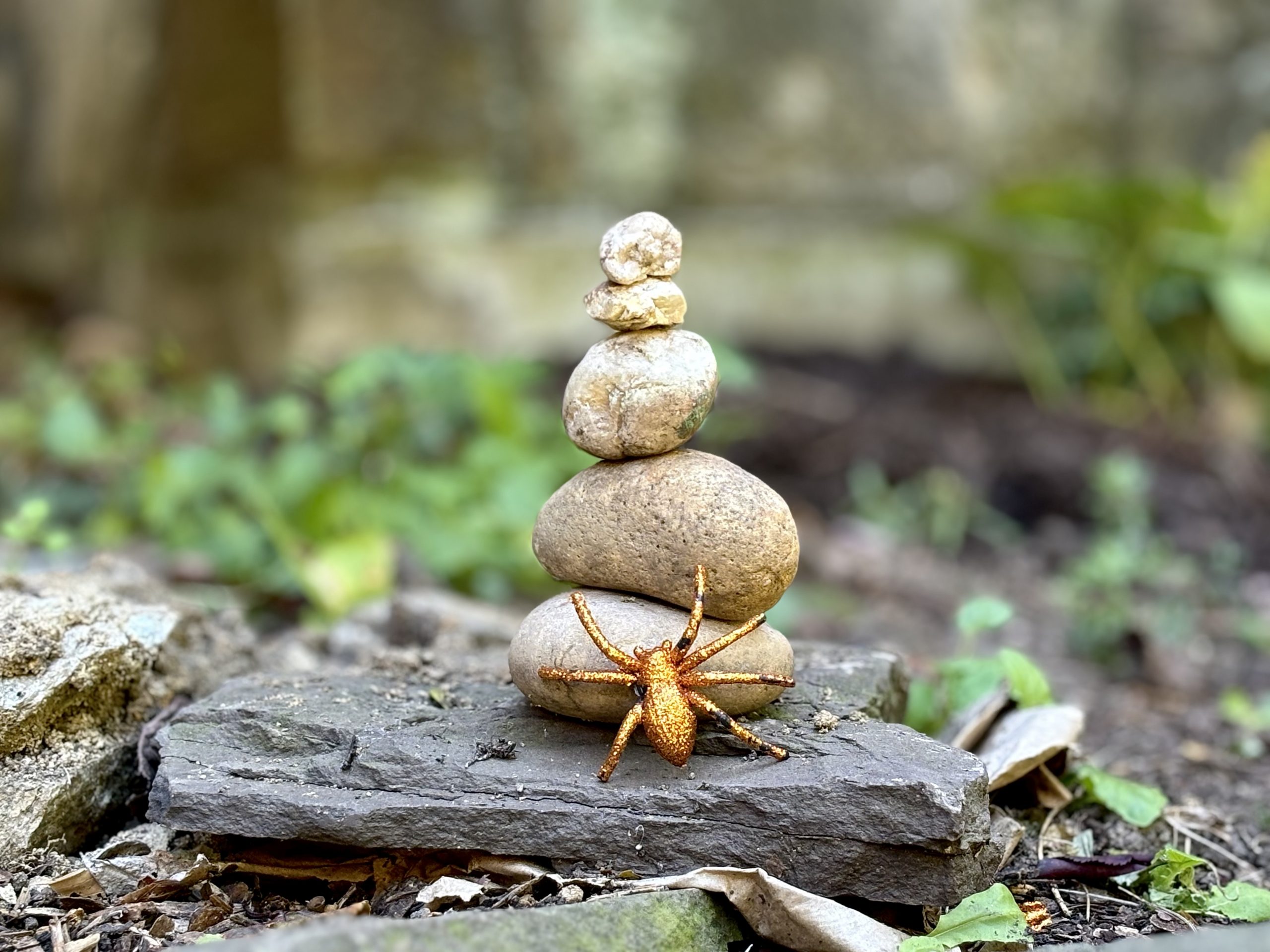 Tuesday Dharma Tea for June 10, 2025 2-2:45pm Eastern