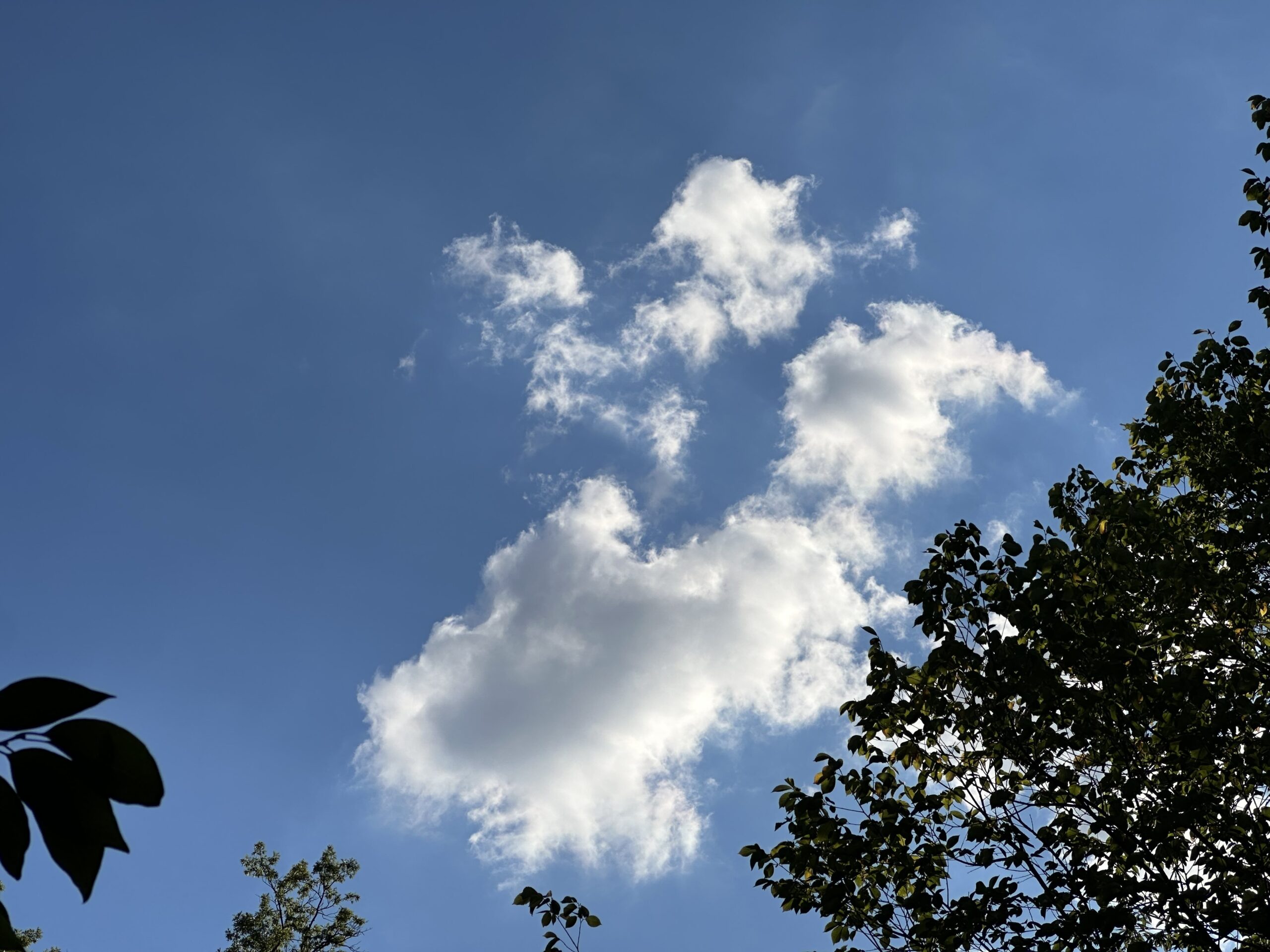 Evening Practice for October 30, 2025 7pm Eastern